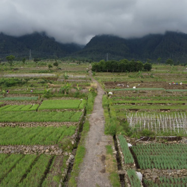 <a class=ContentLinkGreen href=/fr/kits_graphiques_templates_stock-video.html>Stock Vid�o</a></font> paysage ferme 156264