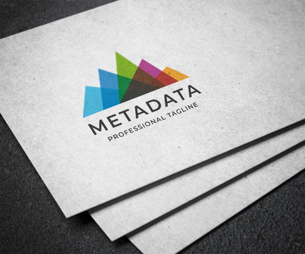 Meta Data Letter Logo Template