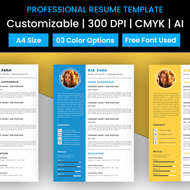 Resume Template Resume Templates 160000