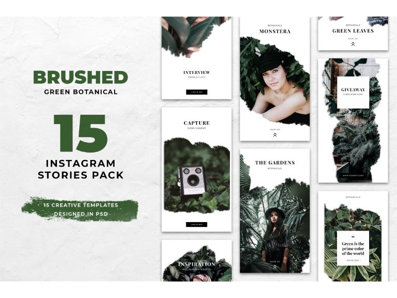 Instagram Stories Brushed Green Botanical Social Media Template