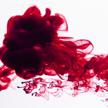 <a class=ContentLinkGreen href=/fr/kits_graphiques_templates_stock-video.html>Stock Vid�o</a></font> rouge encre 163271