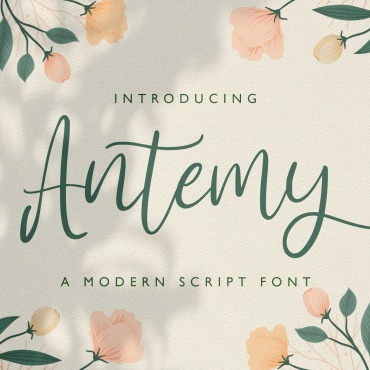 Script Calligraphy Fonts 163307