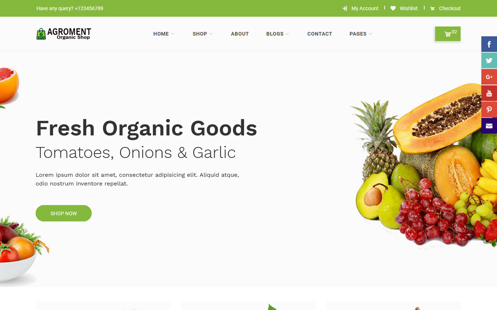 Agroment – Organic Food Bootstrap 5 Template