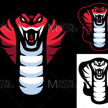 Cobra Mascot Illustrations Templates 165723