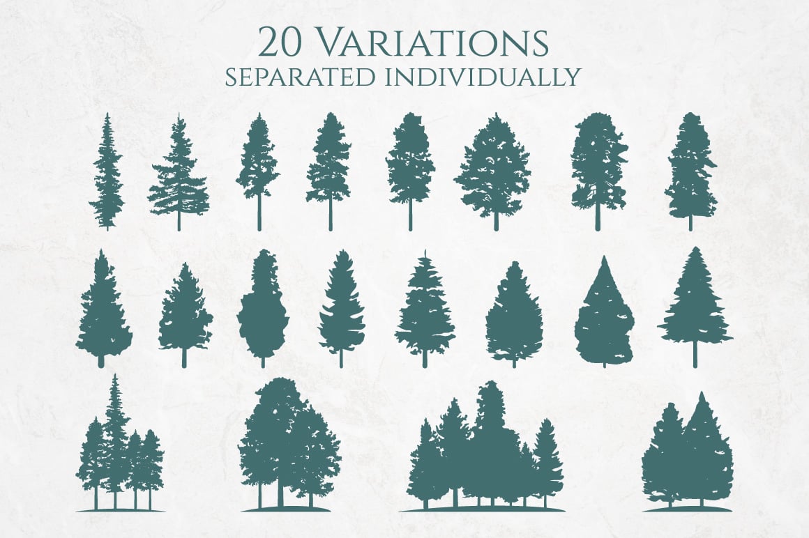 Coniferous Pine Fir Tree Silhouette Set