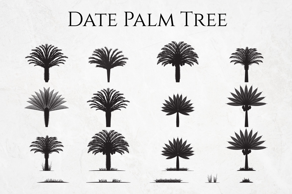 Date Palm Tree Silhouette Element Set