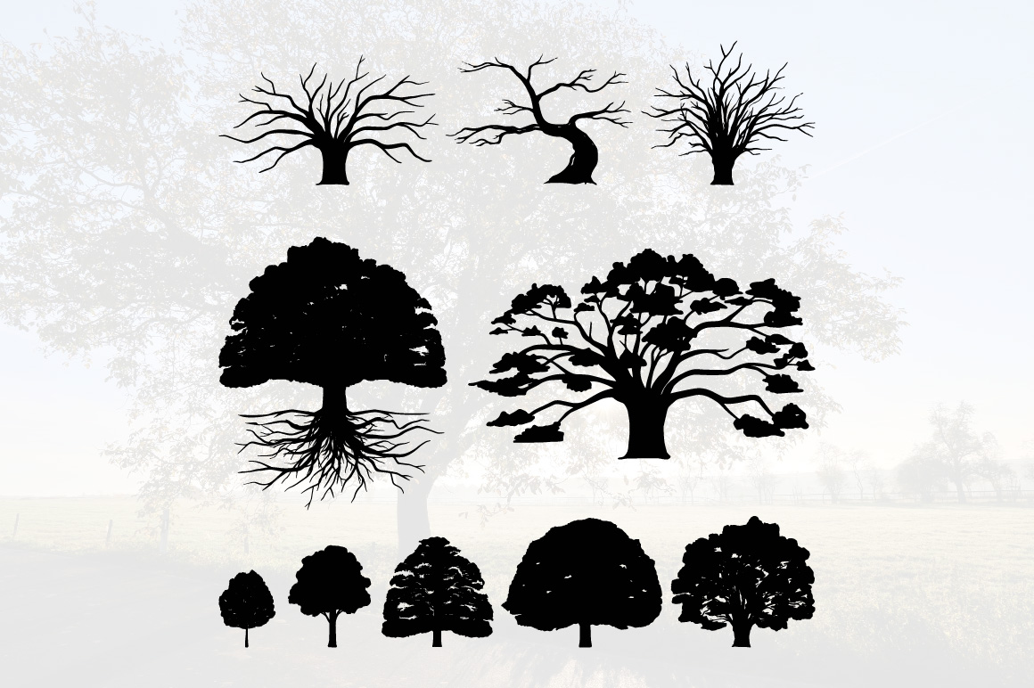 Oak Tree Silhouette - Illustration Detail and Natural