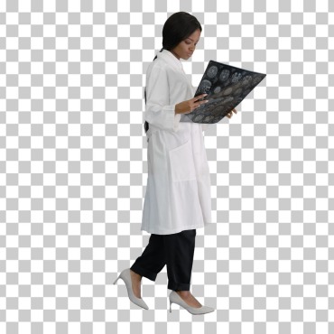 <a class=ContentLinkGreen href=/fr/kits_graphiques_templates_stock-video.html>Stock Vid�o</a></font> chaine marche 166910