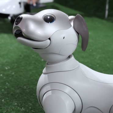 <a class=ContentLinkGreen href=/fr/kits_graphiques_templates_stock-video.html>Stock Vid�o</a></font> mignon afficher 167097