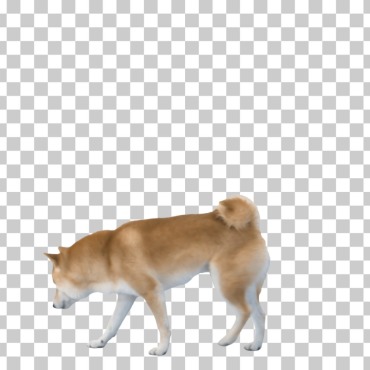 <a class=ContentLinkGreen href=/fr/kits_graphiques_templates_stock-video.html>Stock Vid�o</a></font> chaine animal 167276