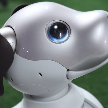 <a class=ContentLinkGreen href=/fr/kits_graphiques_templates_stock-video.html>Stock Vid�o</a></font> intelligence futuriste 167282