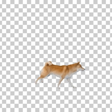 <a class=ContentLinkGreen href=/fr/kits_graphiques_templates_stock-video.html>Stock Vid�o</a></font> chaine inu 167310