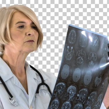 <a class=ContentLinkGreen href=/fr/kits_graphiques_templates_stock-video.html>Stock Vid�o</a></font> chaine business 167330