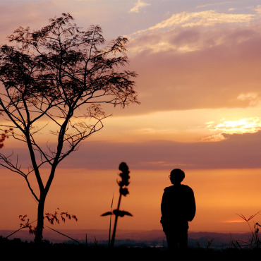 <a class=ContentLinkGreen href=/fr/kits_graphiques_templates_stock-video.html>Stock Vid�o</a></font> personne alone 170044