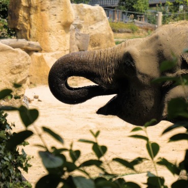 <a class=ContentLinkGreen href=/fr/kits_graphiques_templates_stock-video.html>Stock Vid�o</a></font> nature coffre 170072