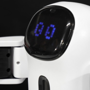 <a class=ContentLinkGreen href=/fr/kits_graphiques_templates_stock-video.html>Stock Vid�o</a></font> animalit jouet 170082