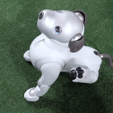 <a class=ContentLinkGreen href=/fr/kits_graphiques_templates_stock-video.html>Stock Vid�o</a></font> technologie robot 170099