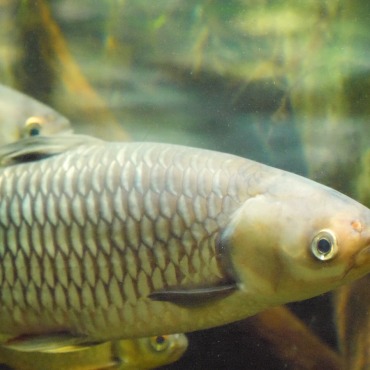 <a class=ContentLinkGreen href=/fr/kits_graphiques_templates_stock-video.html>Stock Vid�o</a></font> sous-marin oc�an 170102