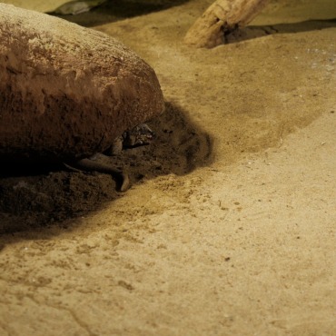 <a class=ContentLinkGreen href=/fr/kits_graphiques_templates_stock-video.html>Stock Vid�o</a></font> nature plein-air 170108