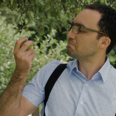 <a class=ContentLinkGreen href=/fr/kits_graphiques_templates_stock-video.html>Stock Vid�o</a></font> apple bureau 170933