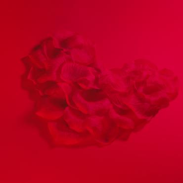 <a class=ContentLinkGreen href=/fr/kits_graphiques_templates_stock-video.html>Stock Vid�o</a></font> rose animalals 171185