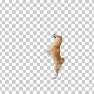 <a class=ContentLinkGreen href=/fr/kits_graphiques_templates_stock-video.html>Stock Vid�o</a></font> chaine animal 171189