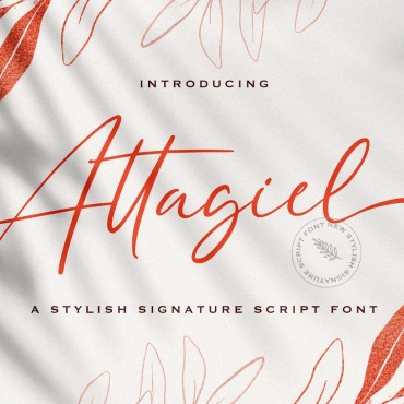 Script Calligraphy Fonts 171357