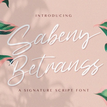 Script Calligraphy Fonts 171365