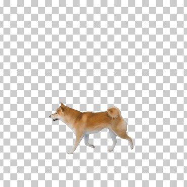 <a class=ContentLinkGreen href=/fr/kits_graphiques_templates_stock-video.html>Stock Vid�o</a></font> chaine animal 171654