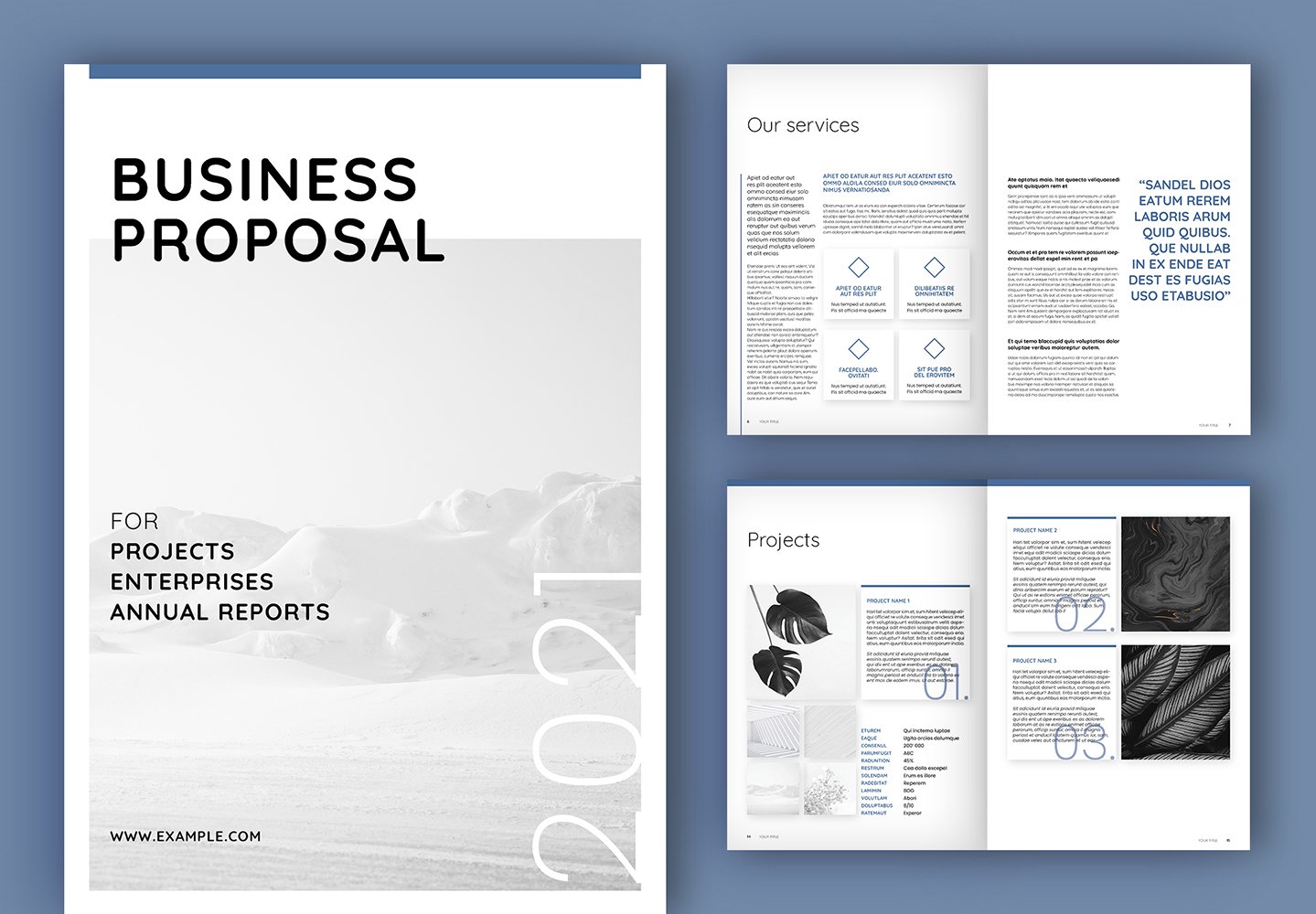 Business Proposal Layout (A4+US) - Corporate Identity Template