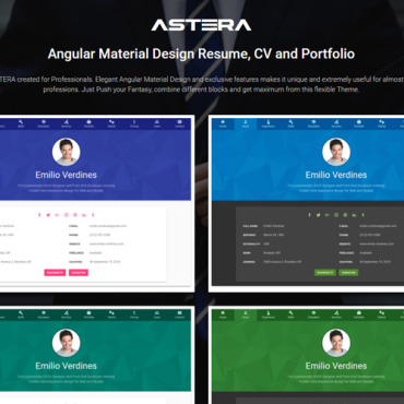 Clean Portfolio Responsive Website Templates 173751