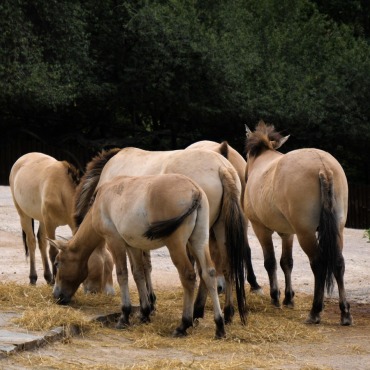 <a class=ContentLinkGreen href=/fr/kits_graphiques_templates_stock-video.html>Stock Vid�o</a></font> herbe ferme 174035