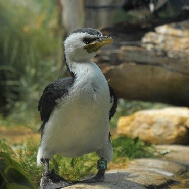 <a class=ContentLinkGreen href=/fr/kits_graphiques_templates_stock-video.html>Stock Vid�o</a></font> nature famille 174080