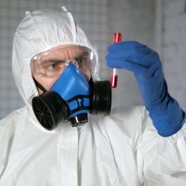 <a class=ContentLinkGreen href=/fr/kits_graphiques_templates_stock-video.html>Stock Vid�o</a></font> recherche test 174657