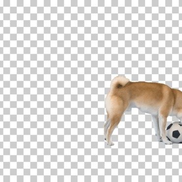 <a class=ContentLinkGreen href=/fr/kits_graphiques_templates_stock-video.html>Stock Vid�o</a></font> chaine animal 174713