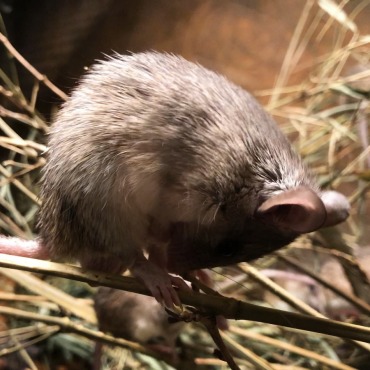 <a class=ContentLinkGreen href=/fr/kits_graphiques_templates_stock-video.html>Stock Vid�o</a></font> herbe nature 174741