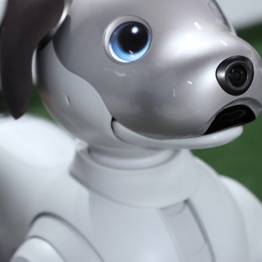 <a class=ContentLinkGreen href=/fr/kits_graphiques_templates_stock-video.html>Stock Vid�o</a></font> robot jouet 174755