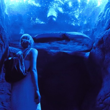 <a class=ContentLinkGreen href=/fr/kits_graphiques_templates_stock-video.html>Stock Vid�o</a></font> giant swamp 174956