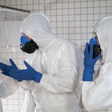 <a class=ContentLinkGreen href=/fr/kits_graphiques_templates_stock-video.html>Stock Vid�o</a></font> arguing corona 175028