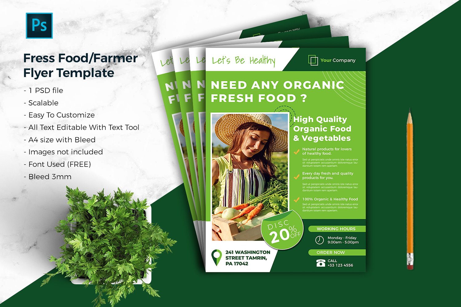 Fressh Food / Farmer Flyer Template Vol-01 Corporated Identity template