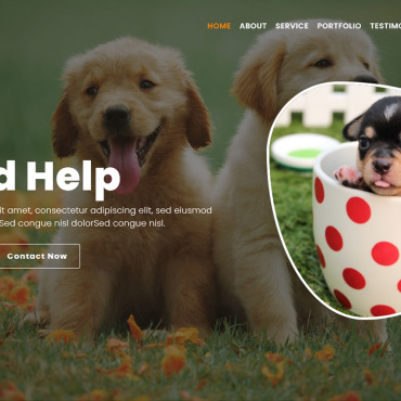 Animal Care Landing Page Templates 178120