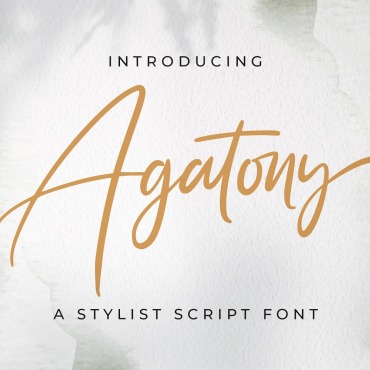 Script Calligraphy Fonts 178164