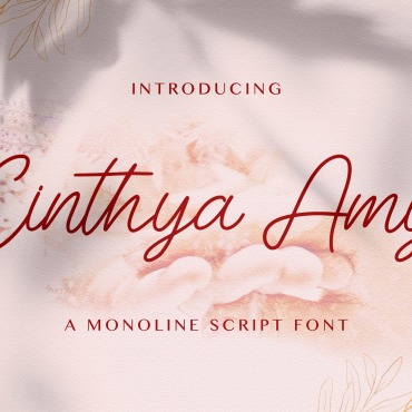 Script Calligraphy Fonts 178172