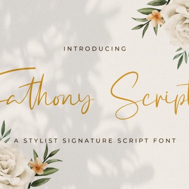 Script Calligraphy Fonts 178173