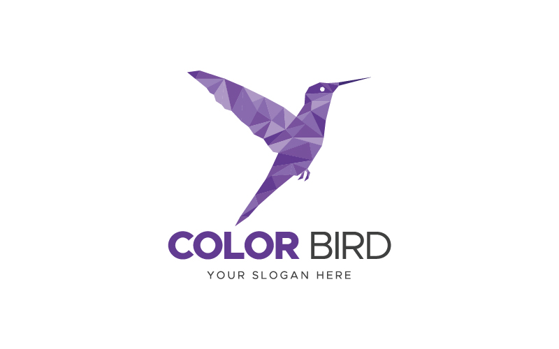 Color Bird Low Polygon Logo template