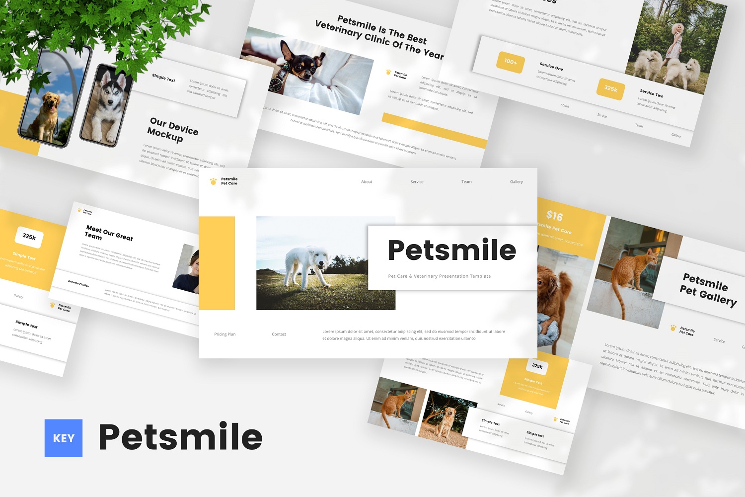 Petsmile - Pet Care & Vetenary Keynote Template