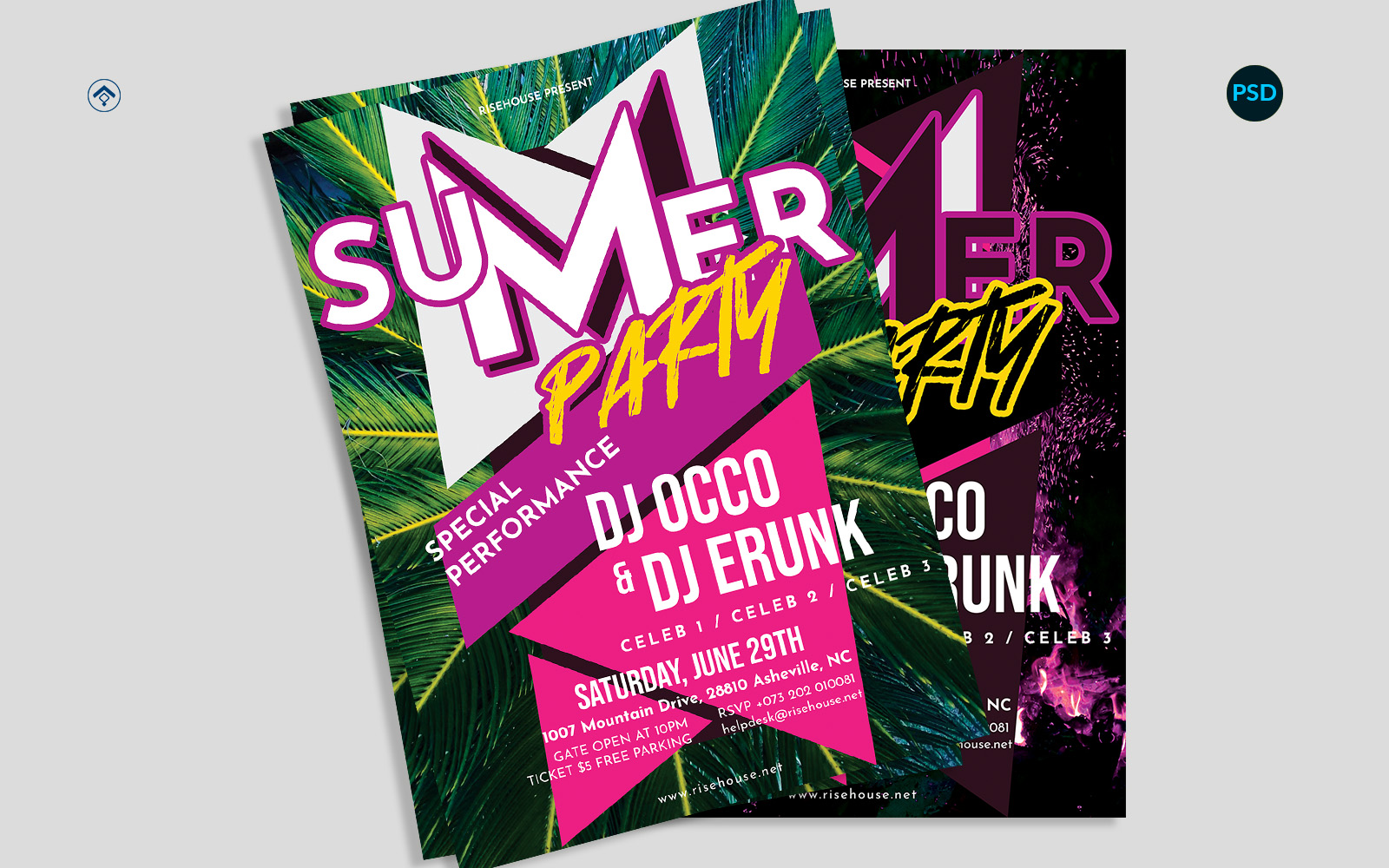 Summer Party Flyer V1