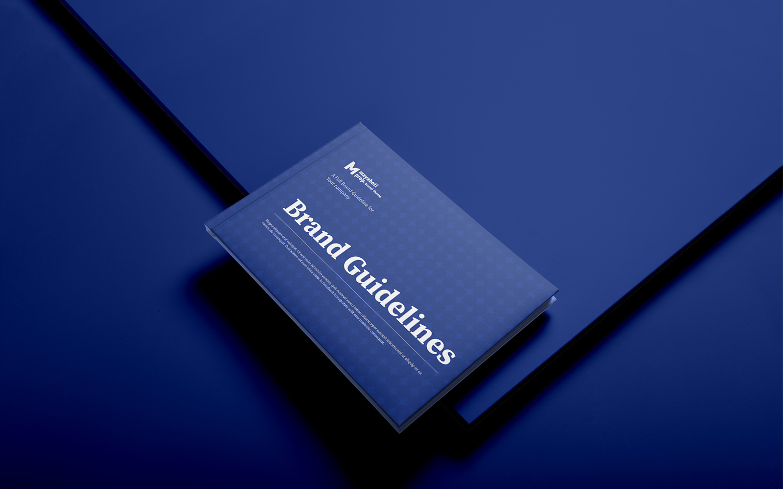 Brand Style Guidelines Corporate identity template