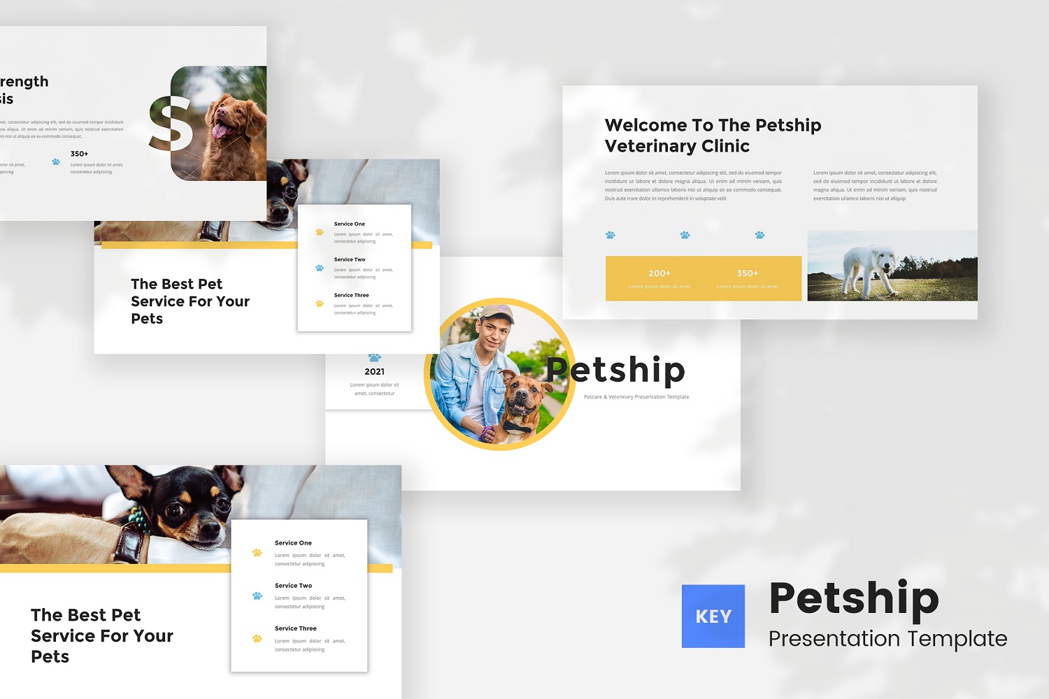 Petship - Pet Care & Veterinary Keynote Template