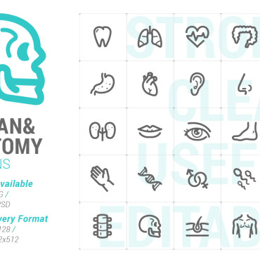 Mouth Brain Icon Sets 179658